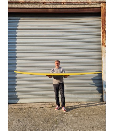 Peppermint Performer 9'1" Pineapple - Longboard Surf Resina Tintada