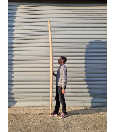 Peppermint Performer 9'1" Timber - Longboard Surf Madera Natural