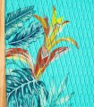 Phenix Natural - Prancha Stand Up Paddle Surf