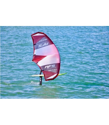 A Sealion Wings é uma prancha multiusos para windsurf, wing foil, surf foil, paddle surf, kite foil.