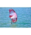 A Sealion Wings é uma prancha multiusos para windsurf, wing foil, surf foil, paddle surf, kite foil.