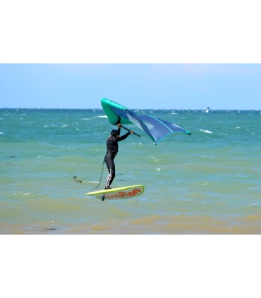 A Sealion Wings é uma prancha multiusos para windsurf, wing foil, surf foil, paddle surf, kite foil.
