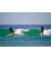 A Sealion Wings é uma prancha multiusos para windsurf, wing foil, surf foil, paddle surf, kite foil.