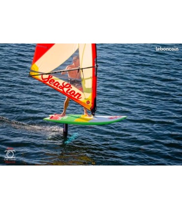 A Sealion Wings é uma prancha multiusos para windsurf, wing foil, surf foil, paddle surf, kite foil.