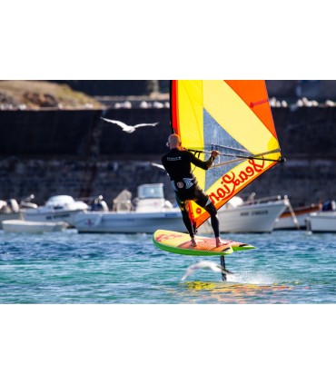 A Sealion Wings é uma prancha multiusos para windsurf, wing foil, surf foil, paddle surf, kite foil.