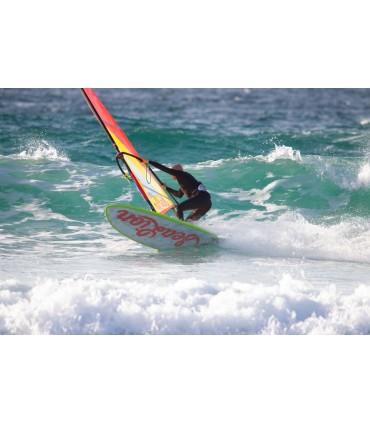 A Sealion Wings é uma prancha multiusos para windsurf, wing foil, surf foil, paddle surf, kite foil.
